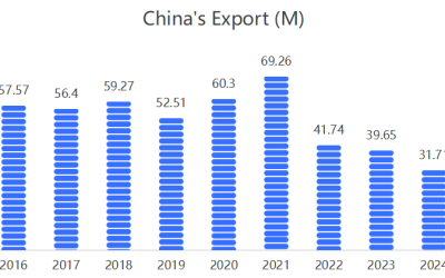 Global Bicycle Market Size & CAGR 2024 and China’s Export